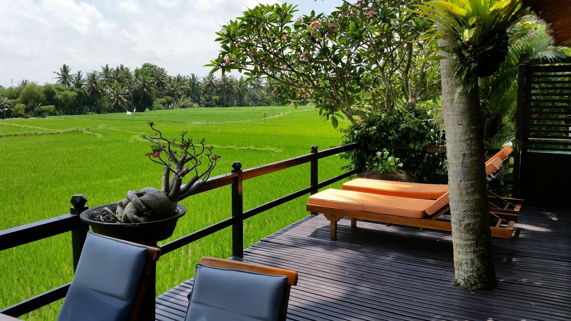 Lodtunduh Sari Hotel Ubud Exterior foto