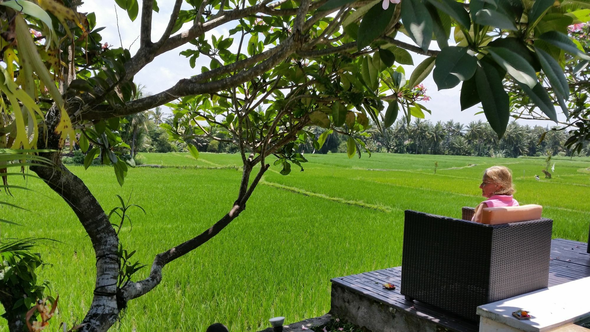 Lodtunduh Sari Hotel Ubud Exterior foto